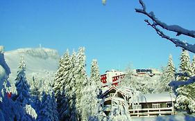 Thon Hotel Skeikampen